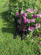 Превью фото № 244013