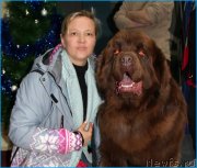 Превью фото № 244014