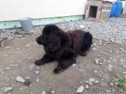 Превью фото № 244021