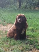 Превью фото № 244037