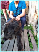 Превью фото № 244040