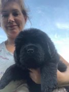 Превью фото № 244046