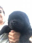 Превью фото № 244053