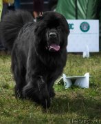 Превью фото № 244064