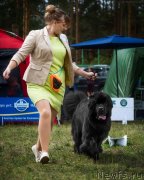 Превью фото № 244066