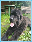 Превью фото № 244073