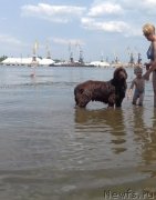 Превью фото № 244097