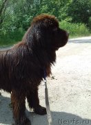 Превью фото № 244098