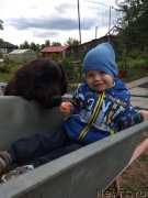 Превью фото № 244100