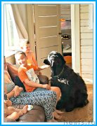 Превью фото № 244128