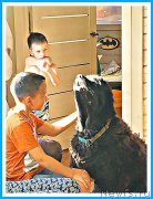 Превью фото № 244129