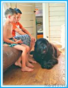 Превью фото № 244130