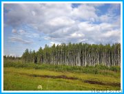 Превью фото № 244138