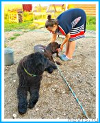 Превью фото № 244140