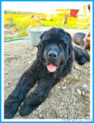 Превью фото № 244145