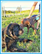 Превью фото № 244146