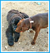 Превью фото № 244147