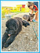 Превью фото № 244148