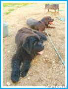 Превью фото № 244149