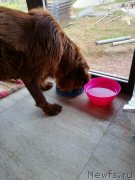 Превью фото № 244152