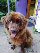 Превью фото № 244154