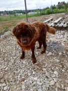 Превью фото № 244155