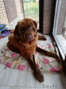 Превью фото № 244156