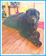 Превью фото № 244174