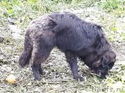 Превью фото № 244178