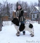 Превью фото № 24418