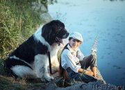 Превью фото № 244206