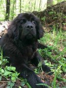 Превью фото № 244216