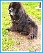 Превью фото № 244345