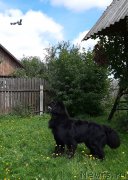 Превью фото № 244354