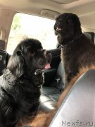 Превью фото № 244364