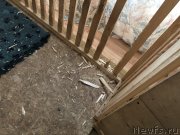 Превью фото № 244367