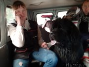 Превью фото № 244374