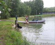 Превью фото № 244376