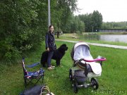 Превью фото № 244379