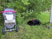 Превью фото № 244381