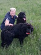 Превью фото № 244492