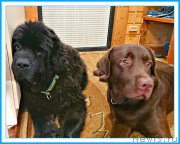 Превью фото № 244499