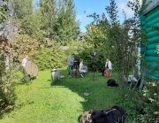 Превью фото № 244541