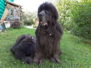 Превью фото № 244543