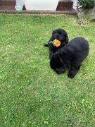 Превью фото № 244559