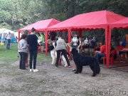 Превью фото № 244637