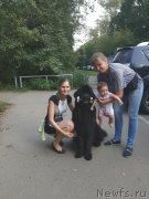 Превью фото № 244645