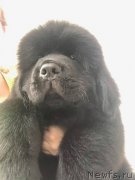 Превью фото № 244653