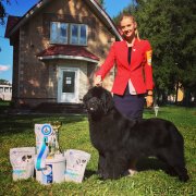 Превью фото № 244654