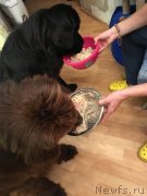 Превью фото № 244658